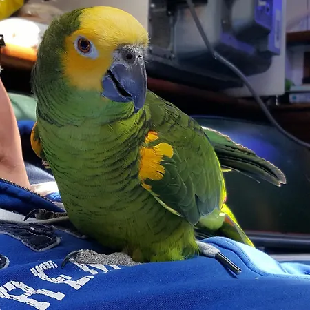 Bådhotel Peniche Saul Nomad *