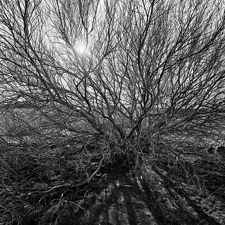 Peniche Saul Nomad Bådhotel Aigues-Mortes