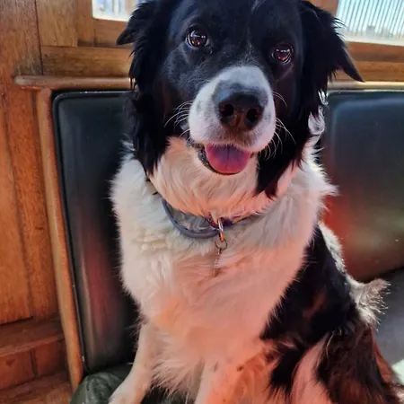 Båthotell Peniche Saul Nomad